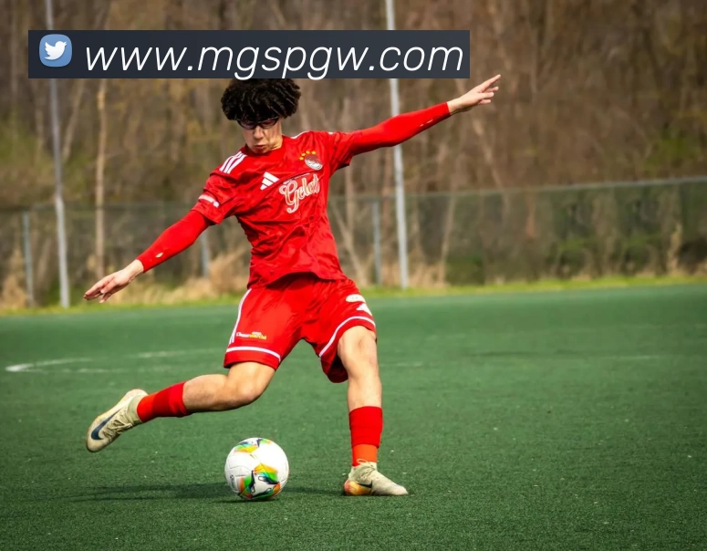 芒果体育官网发展历程